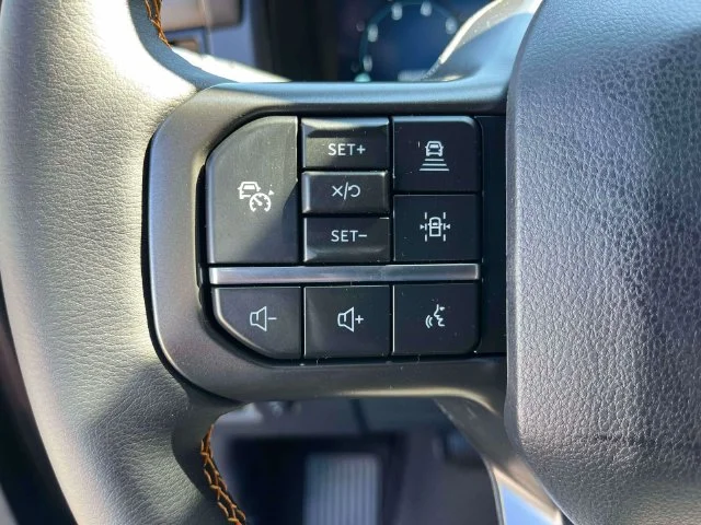 New 2026 Gray Ford Tremor image 24