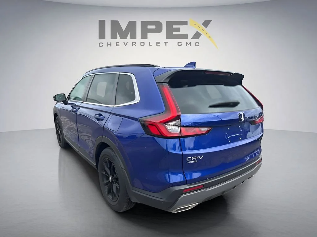 Used 2025 Blue Honda Sport image 2