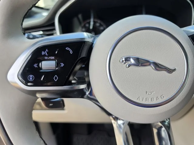 2025 Jaguar F-PACE R-Dynamic S - Photo 24