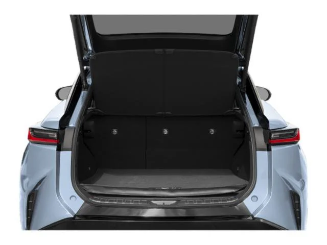 Used 2024 Iridium Lexus 300e Premium image 11