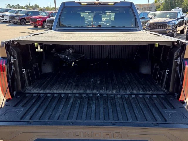 Used 2022 Gray Toyota Platinum image 12