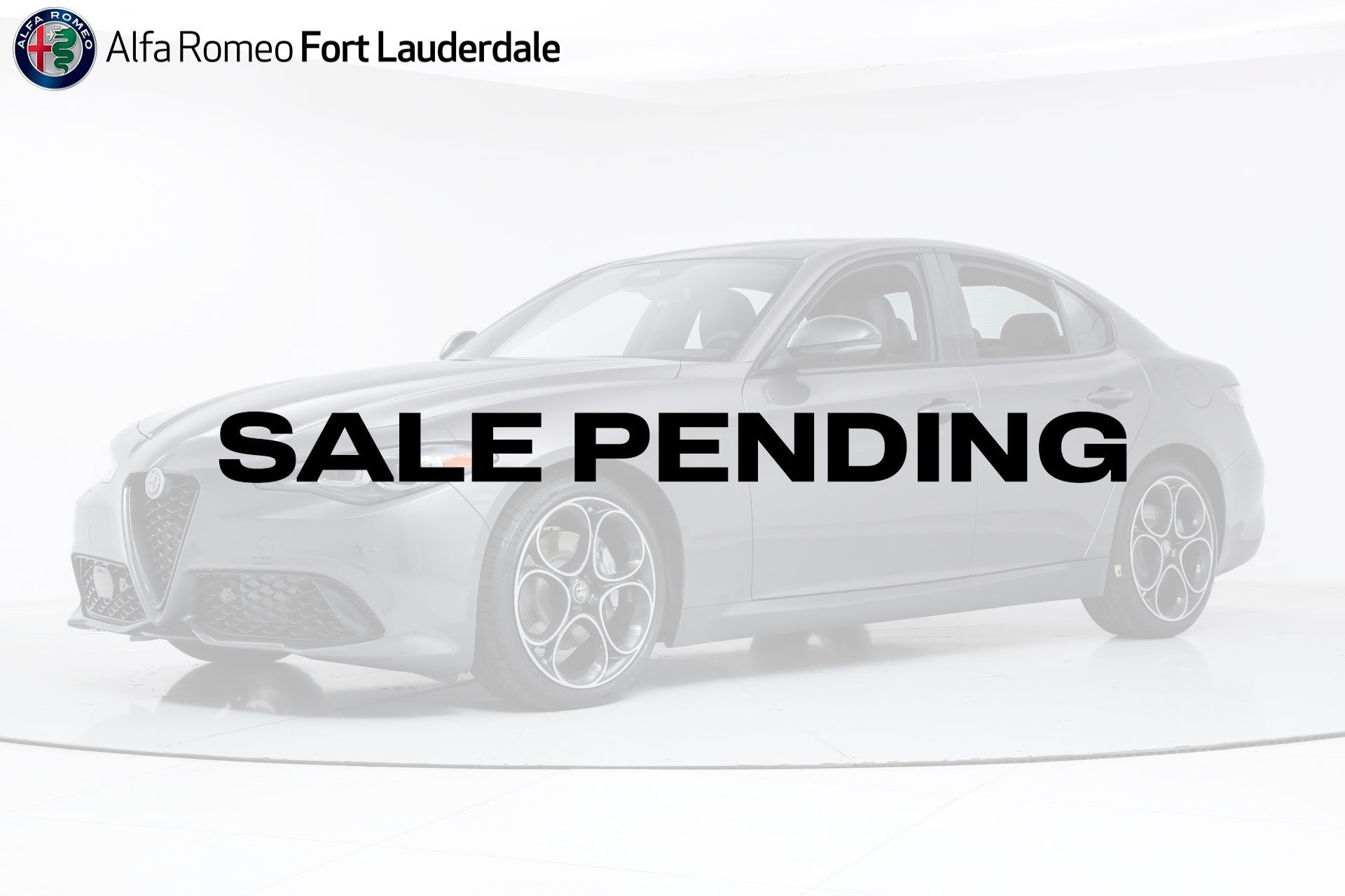 New 2025 Vesuvio Gray Metallic Exterior Paint Alfa Romeo  image 1