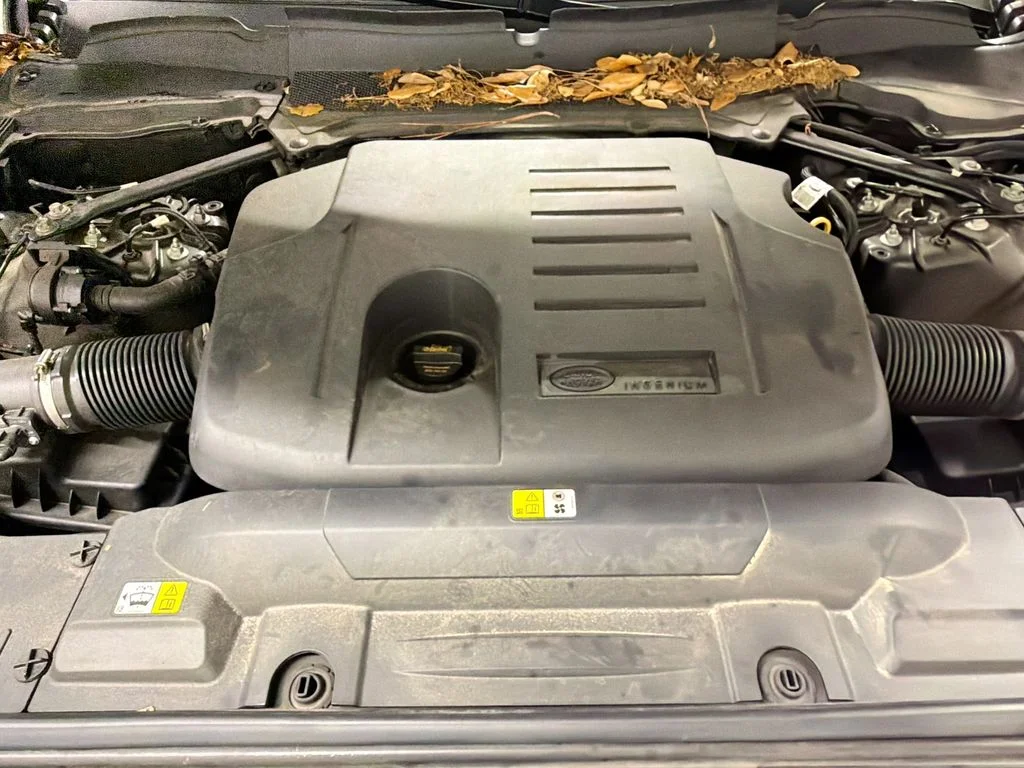 Used 2020  Land Rover HSE image 31