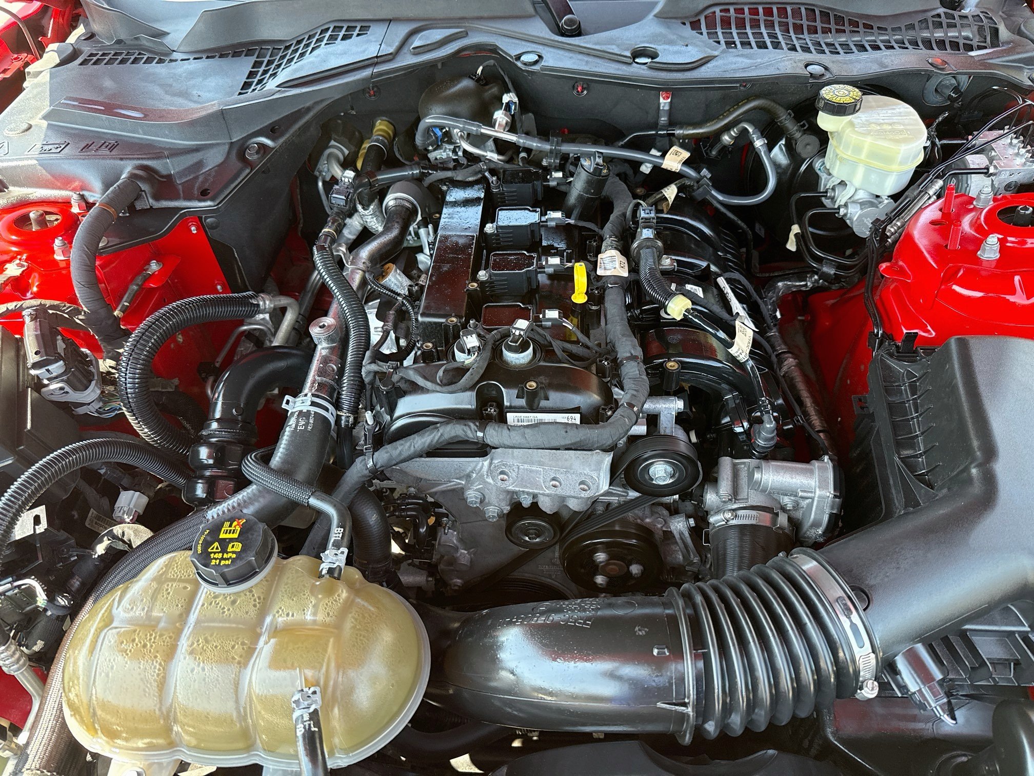 Used 2021 Race Red Ford EcoBoost Premium image 28