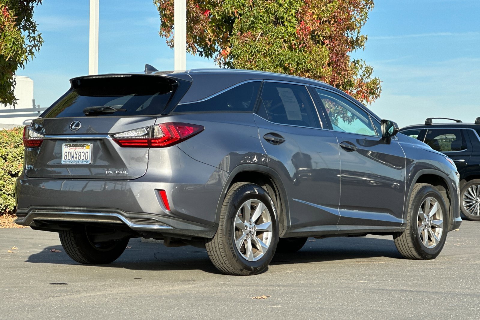 2018 Lexus RX 350L photo 3