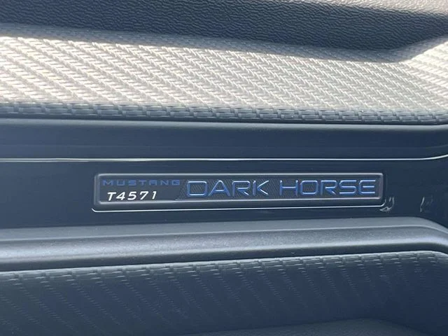 New 2026 Avalanche Gray Ford Dark Horse image 18