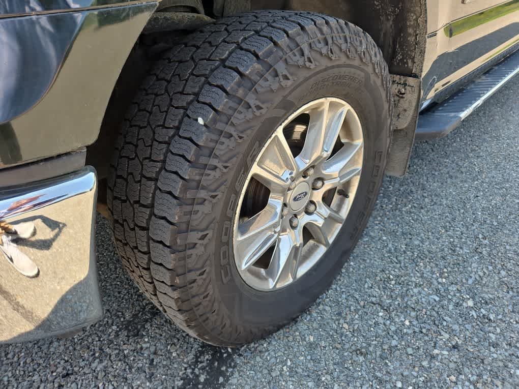 Used 2015 Green Gem Metallic Ford XLT image 5