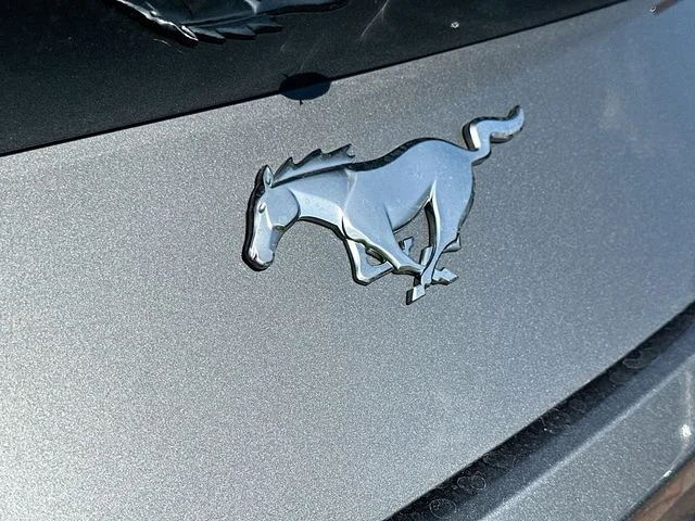 New 2025 Gray Metallic Ford EcoBoost image 17