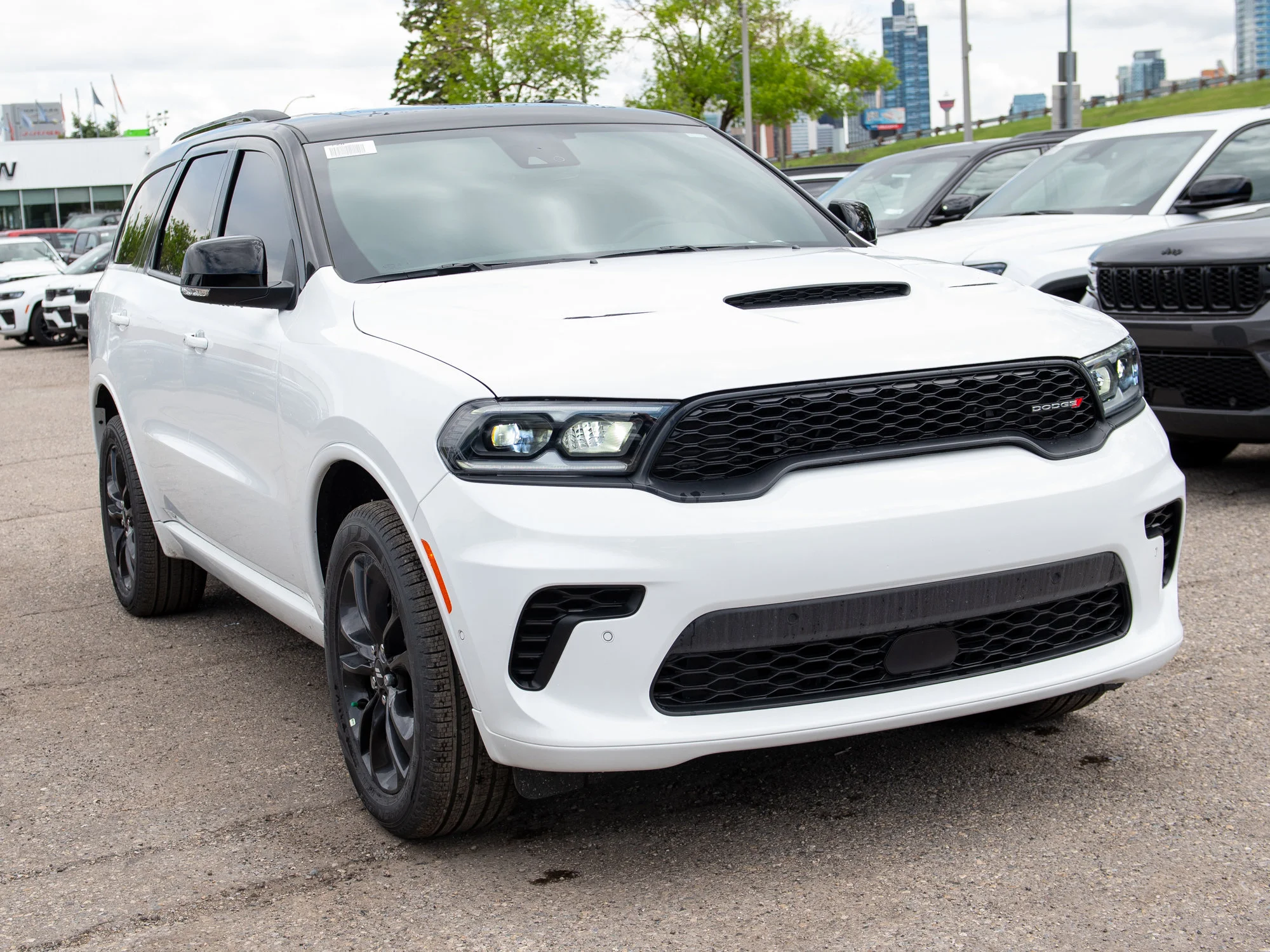 New 2026 White Dodge GT Plus* image 7