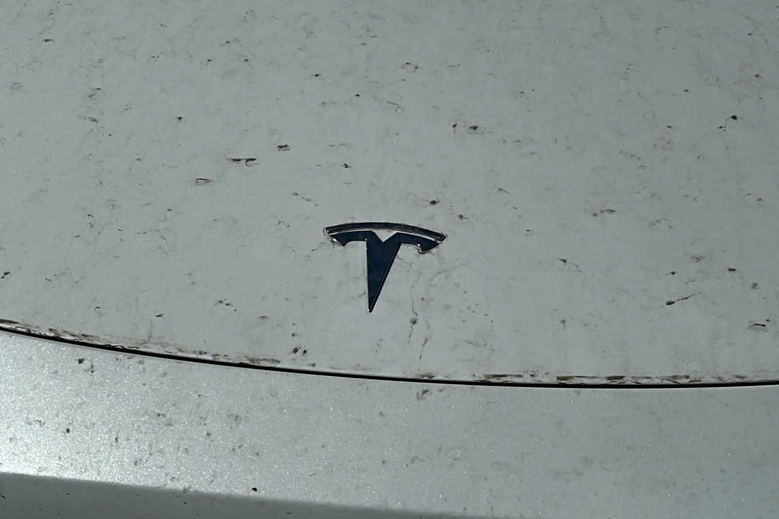 Used 2024  Tesla Long Range image 10