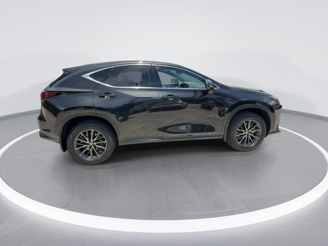 2024 Lexus NX 350 - Photo 8