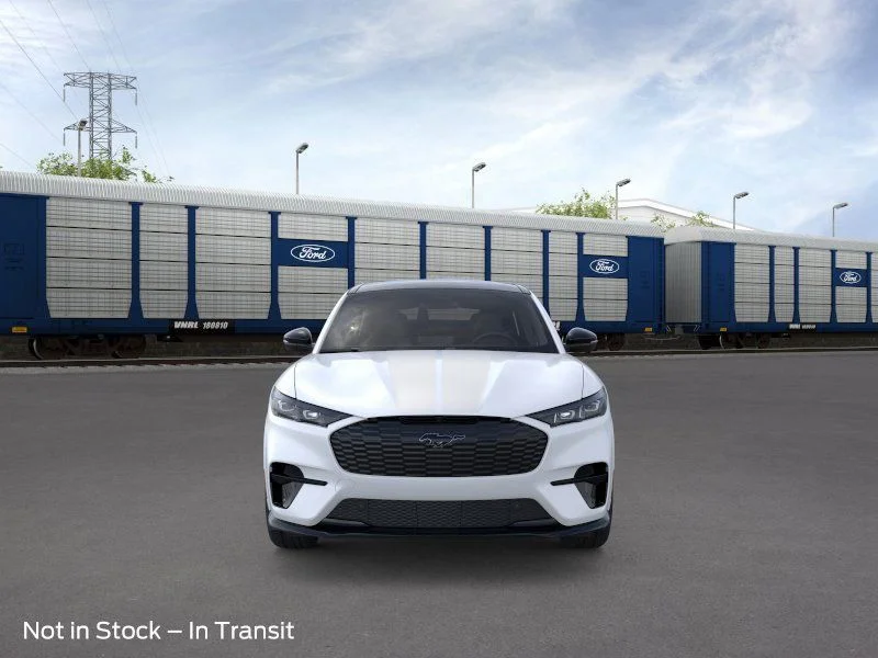 2025 Ford Mustang Mach-E GT - Photo 6