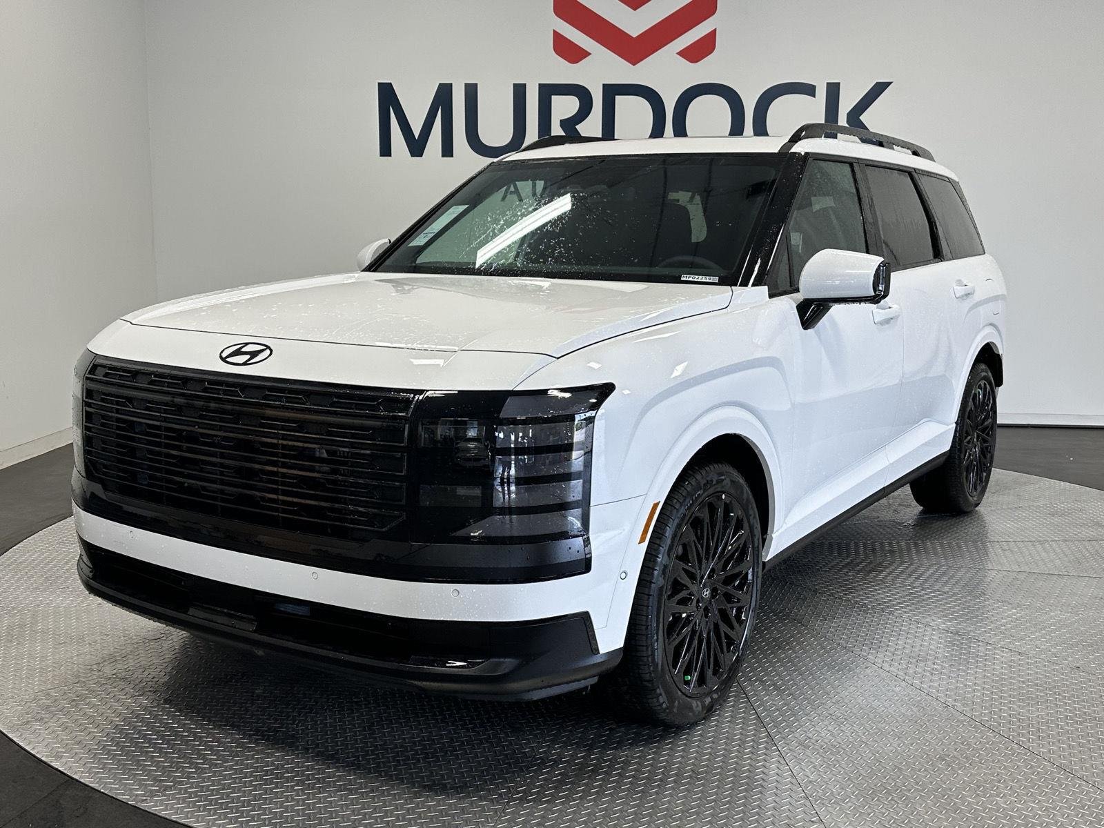 New 2027 Creamy White Pearl Hyundai Calligraphy Black Ink image 5