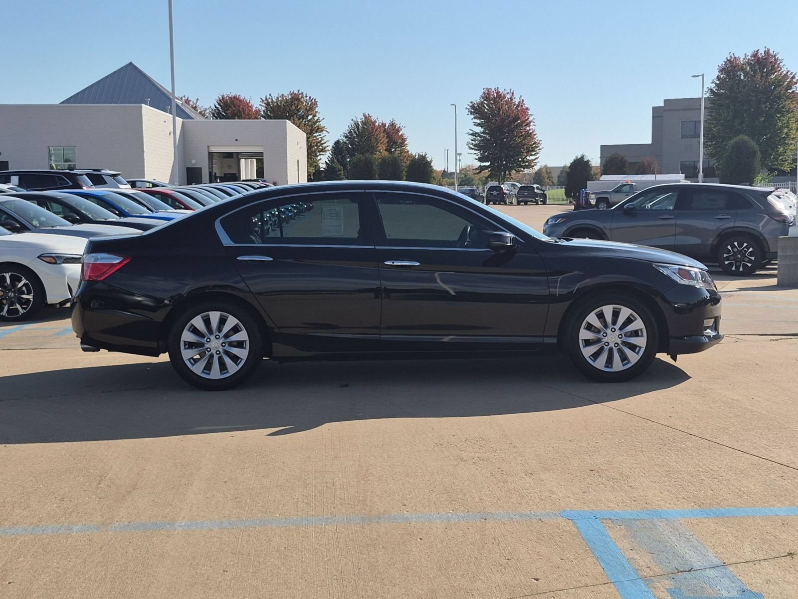 Used 2013 Crystal Black Pearl Honda EX-L Sedan image 5