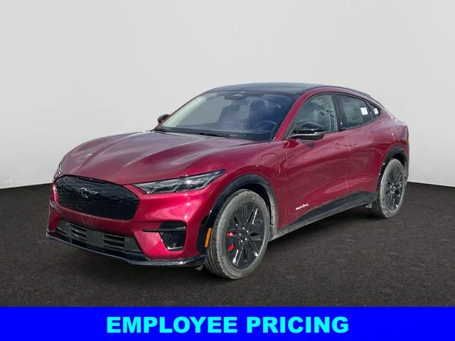 2025 Ford Mustang-Mach-e Premium's photo