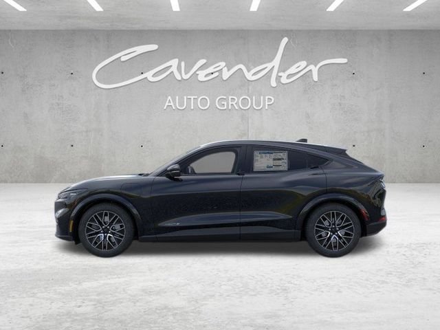 New 2026 Shadow Black Ford Premium image 4