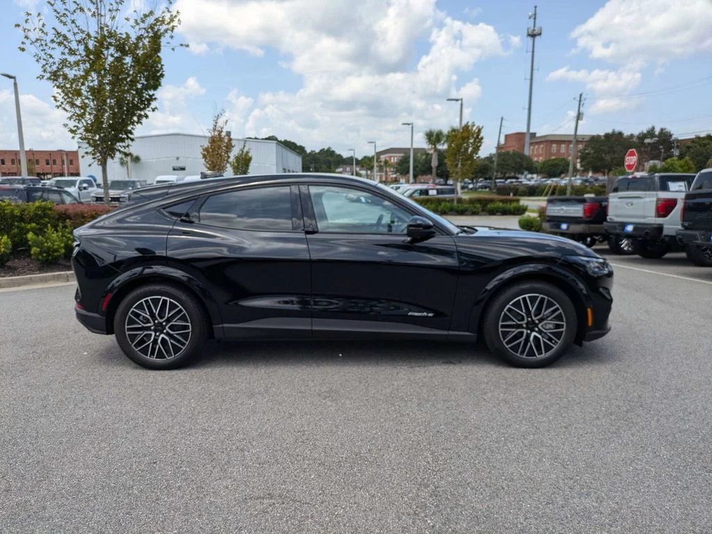 New 2026 Shadow Black Ford Premium image 3