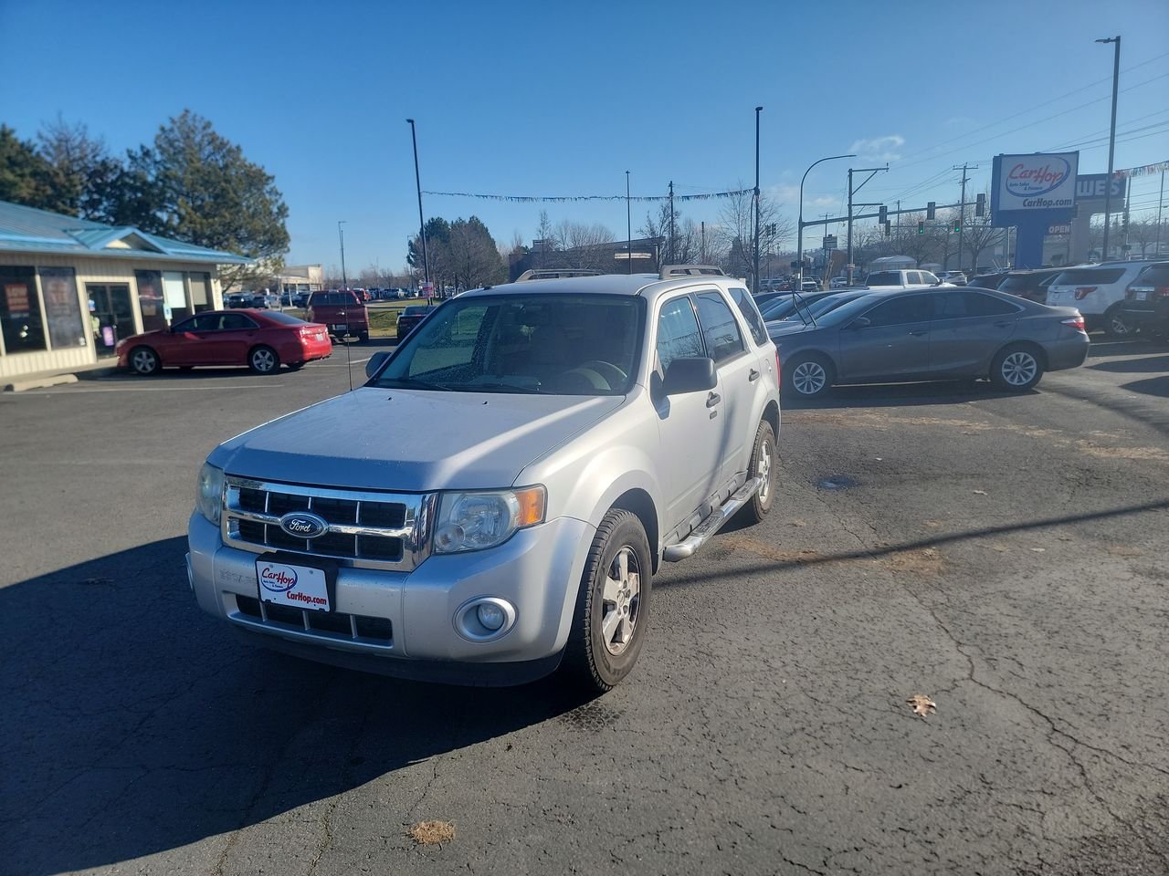 2010 Ford Escape XLT