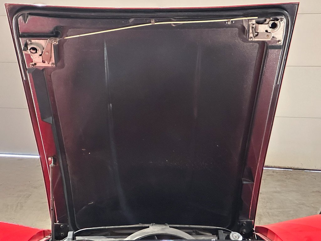 Used 1969 Red Chevrolet  image 23