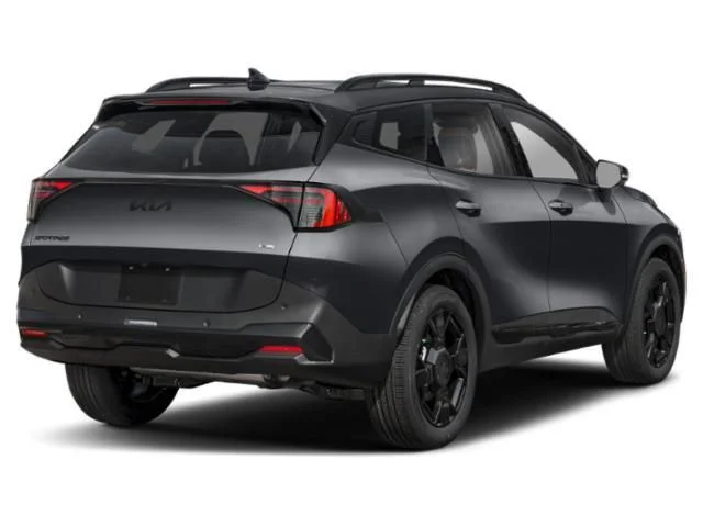 New 2026 Panthera Metal Kia X-Line image 3
