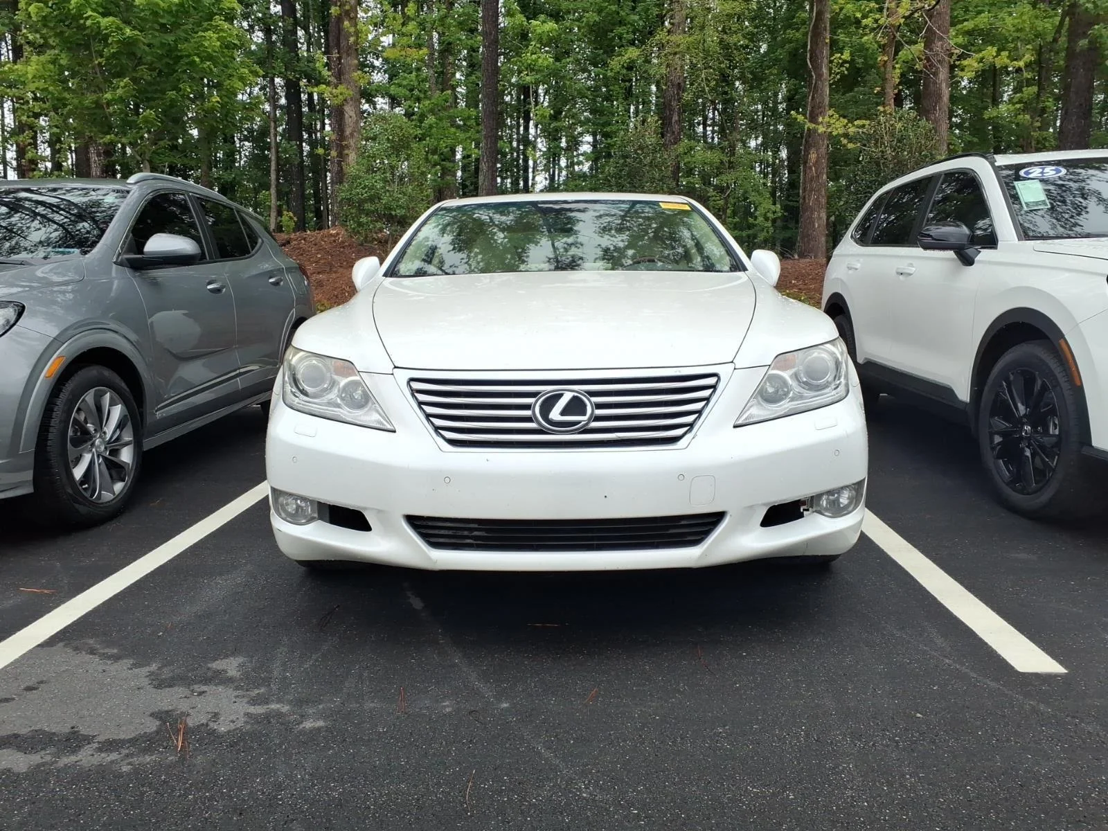 2010 Lexus LS 500 460's photo