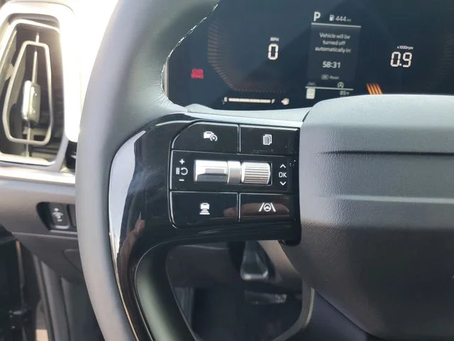 New 2026 Panthera Metal Kia LX image 11