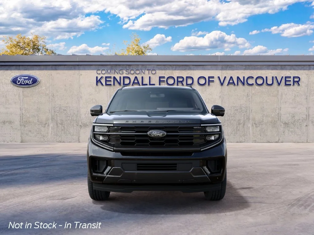 New 2027 Black Ford Platinum image 3