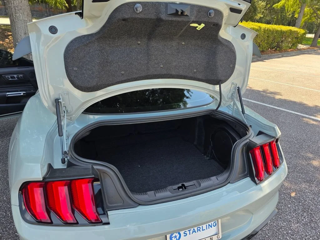 Used 2023 Gray Ford Mach 1 Fastback image 31