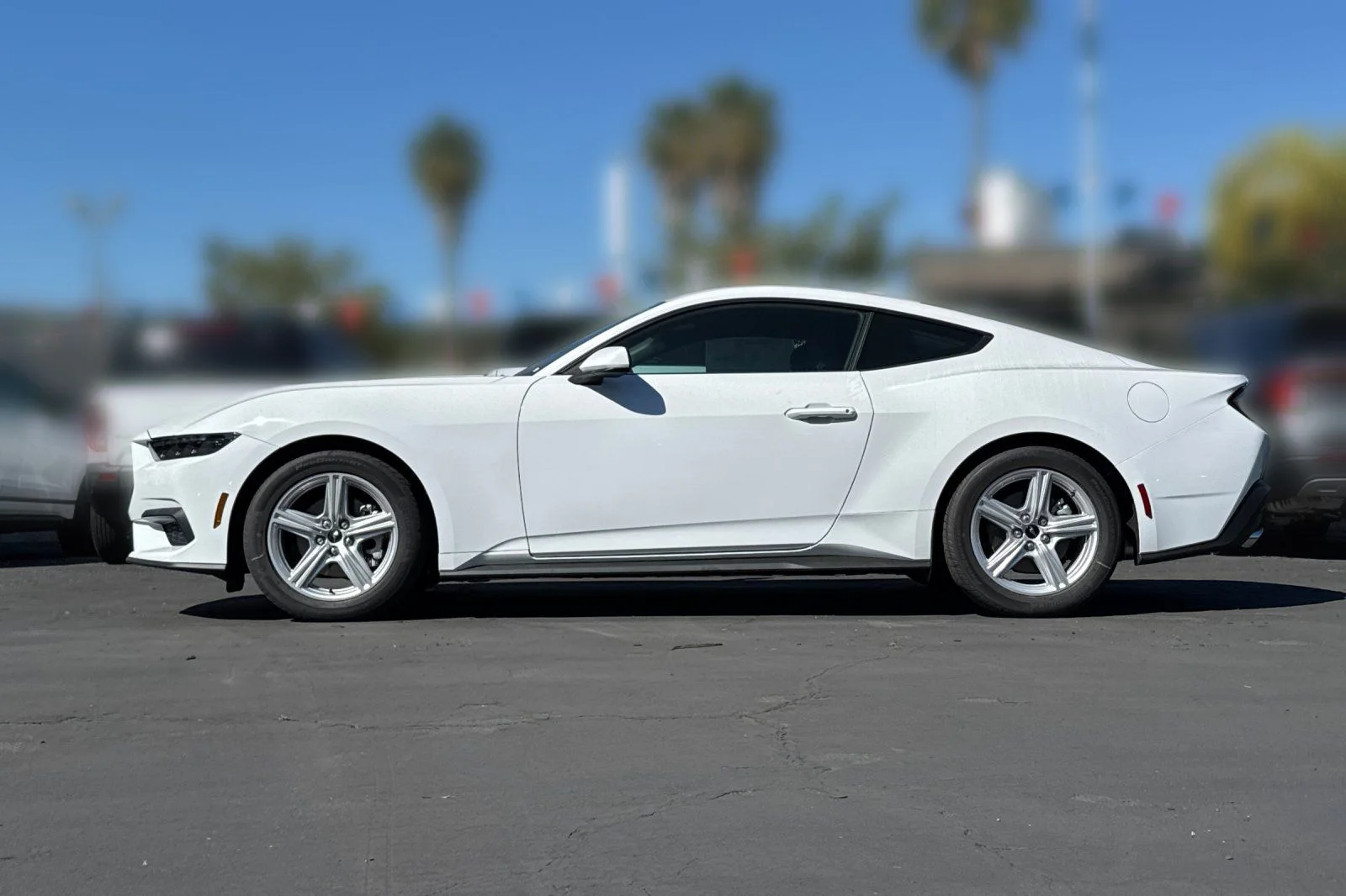 New 2026 Oxford White Ford EcoBoost® Fastback image 7