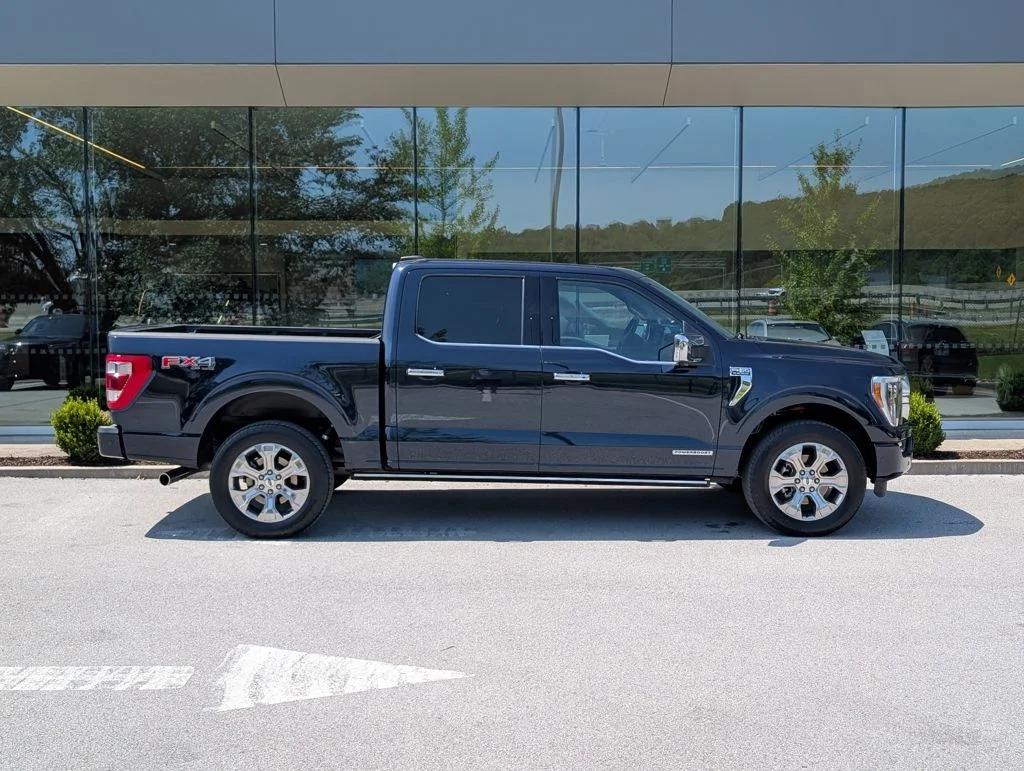 Used 2023 Blue Ford Platinum image 8