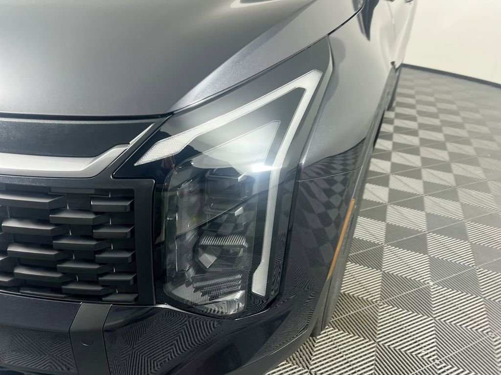 New 2026 Panthera Metal Kia LX image 11