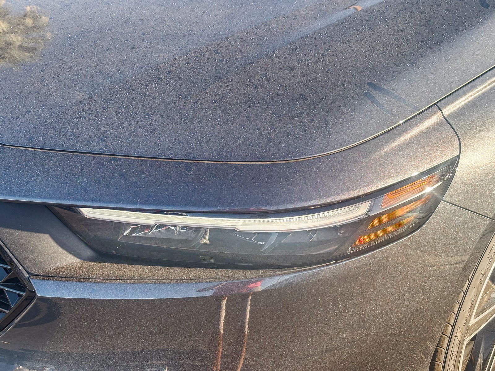 New 2026 Meteorite Gray Metallic Honda SE image 8