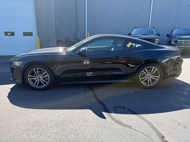Used 2017 Black Ford EcoBoost Premium image 4