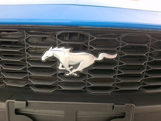 Used 2024 Blue Ford EcoBoost Premium image 40