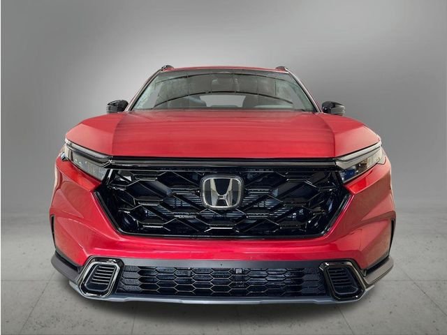 New 2026 Radiant Red Metallic Honda Sport image 9