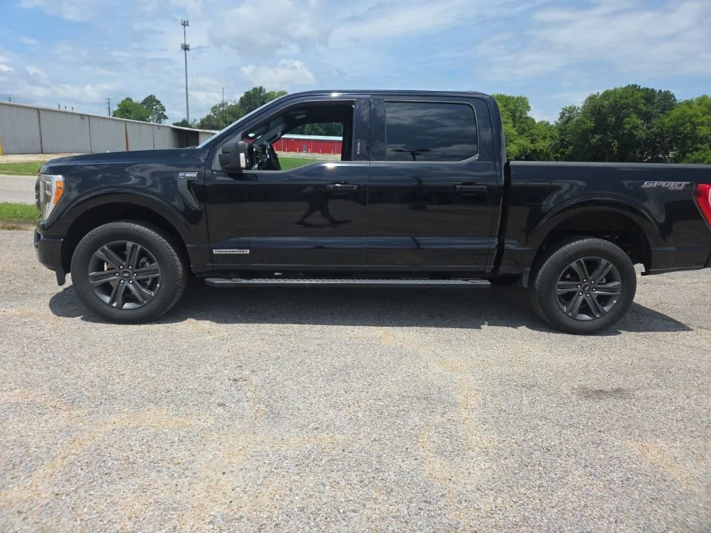 Used 2023 Black Ford XLT image 4