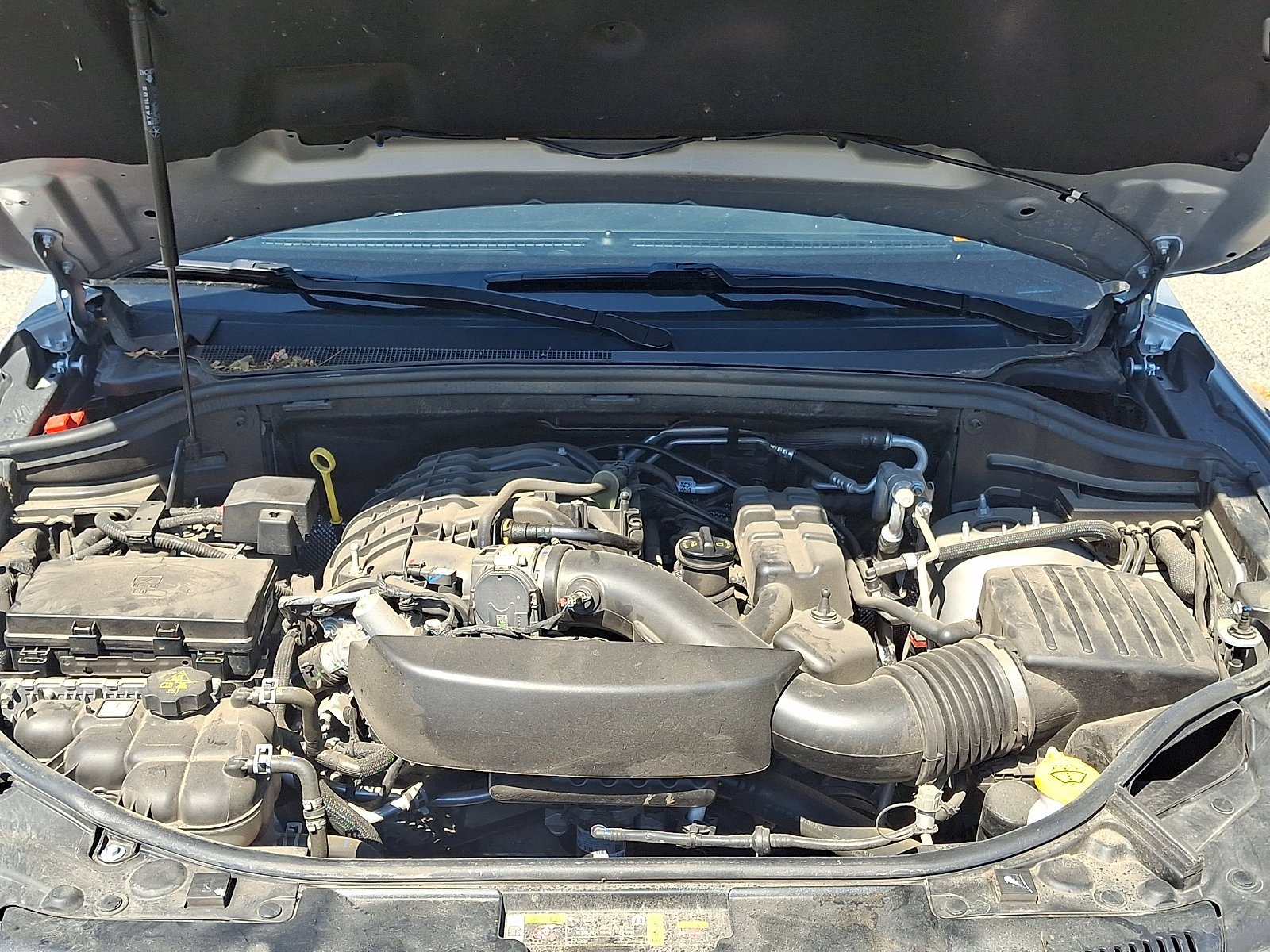 Used 2024 Triple Nickel Dodge GT Plus image 29