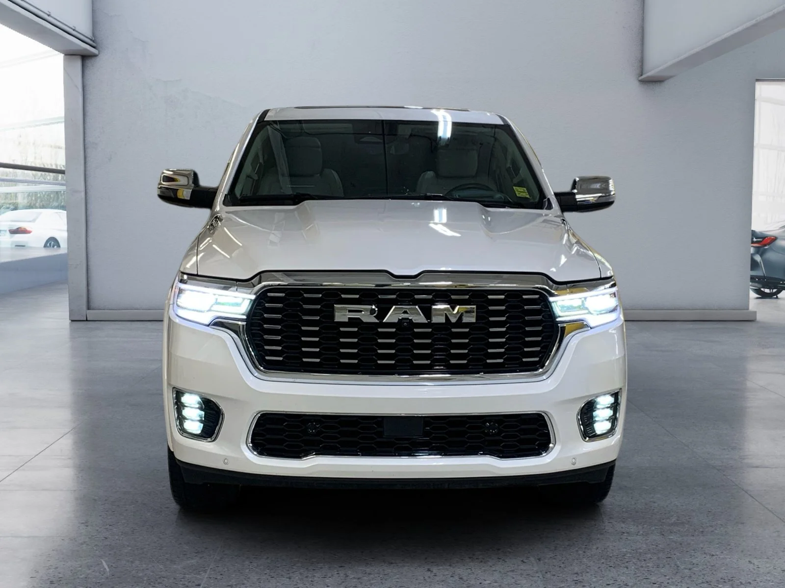 Used 2025 White Ram Tungsten image 8