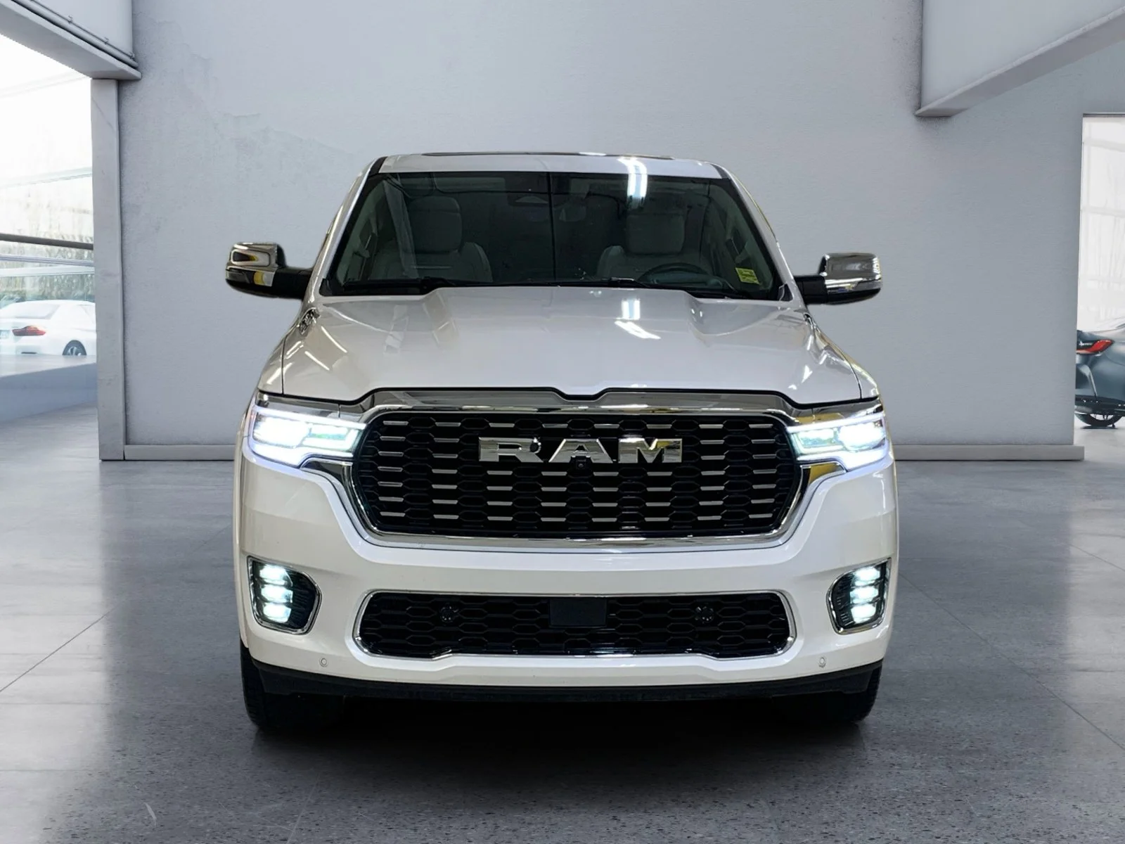 Used 2025 White Ram Tungsten image 8