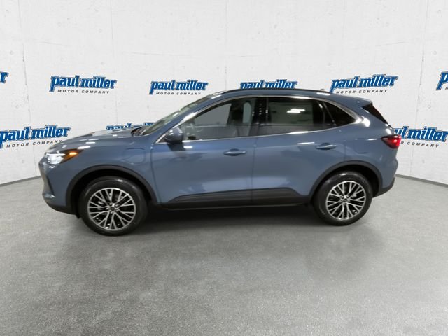 New 2026 Blue Ford Base image 6