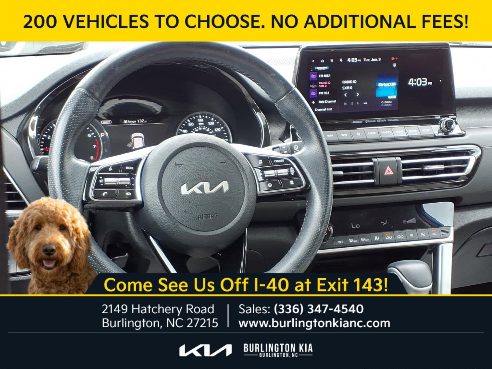 Used 2023 Neptune Blue Kia SX image 3