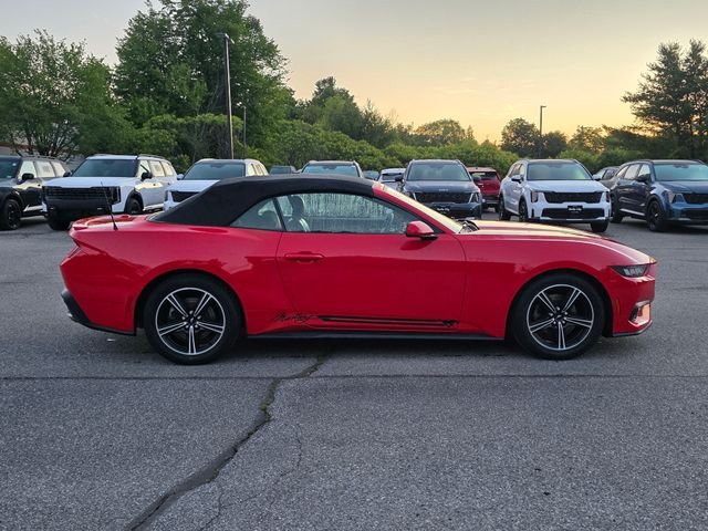 Used 2024 Red Ford EcoBoost Premium image 9