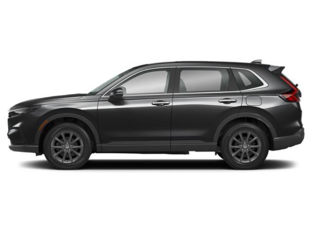 Used 2026  Honda EX-L image 4