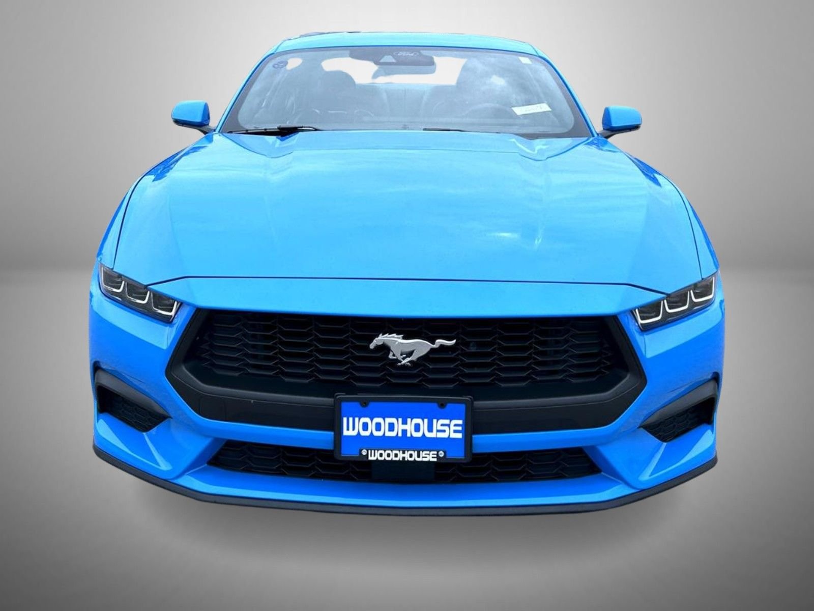 Used 2024 Blue Ford EcoBoost Premium image 2