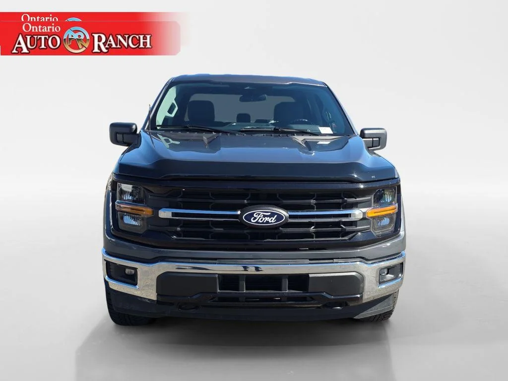 2025 Ford F-150 XLT - Photo 8