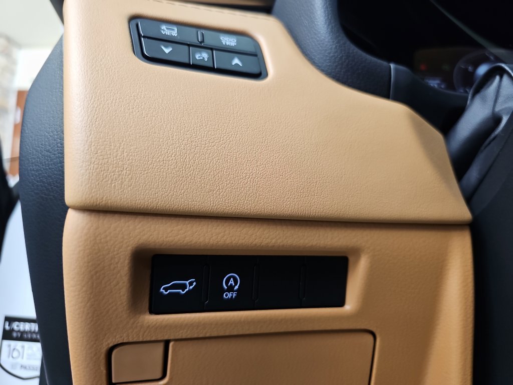 Used 2022 White Lexus 600 Premium image 29