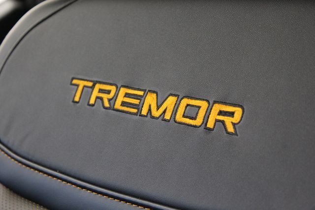New 2026 Blue Ford Tremor image 31