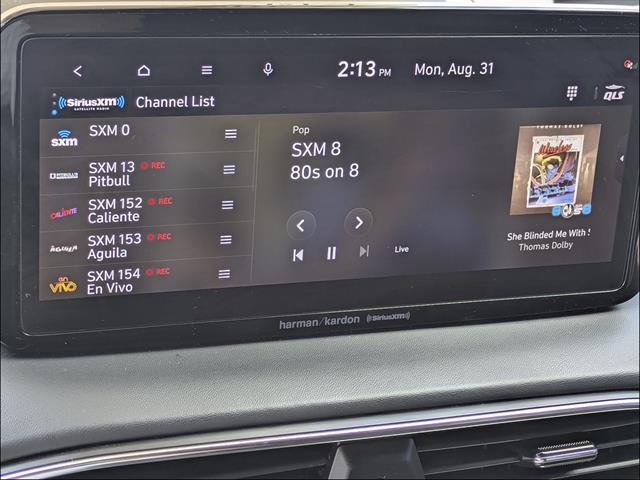 Used 2023 Hampton Gray Hyundai Calligraphy image 29
