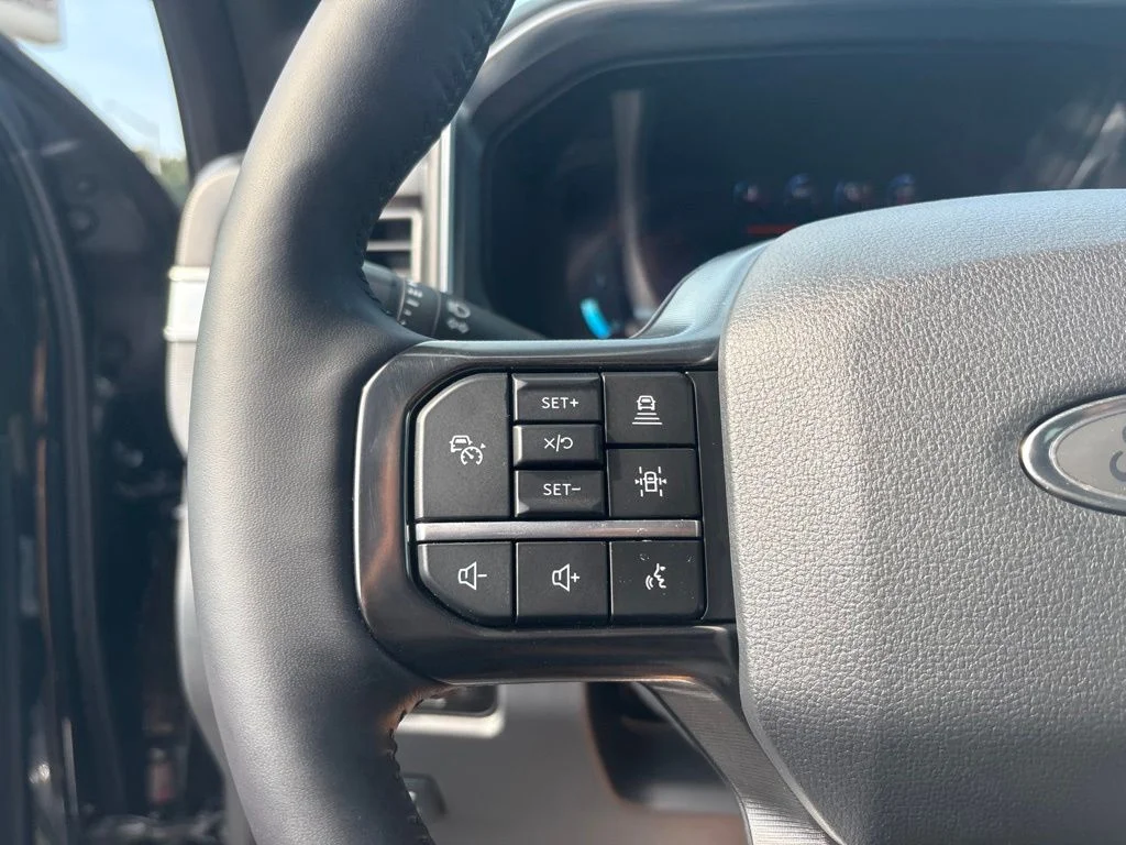 Used 2025 Black Ford Platinum image 23
