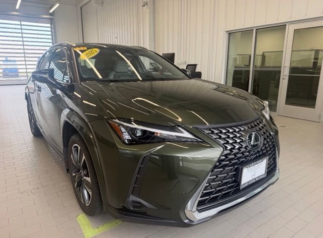 2025 Lexus UX 300h 300h Premium AWD's photo